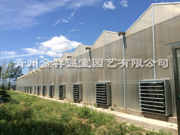 文洛阳光板连栋温室.jpg