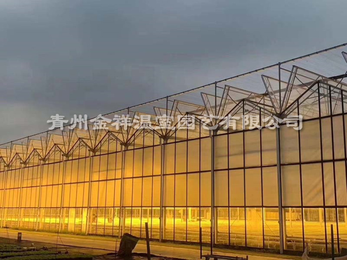 智能温室大棚 (8).jpg