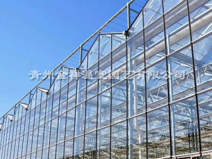 玻璃温室大棚 (9).jpg