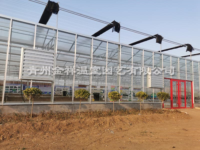 玻璃温室大棚 (14).jpg