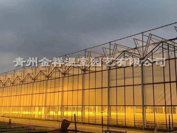 智能温室大棚