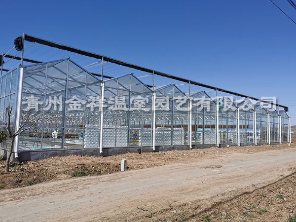 玻璃温室大棚