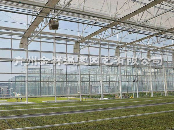 玻璃温室大棚