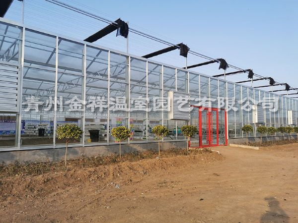 玻璃温室大棚