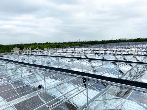 玻璃温室大棚
