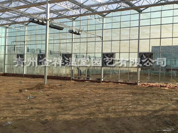 玻璃温室大棚