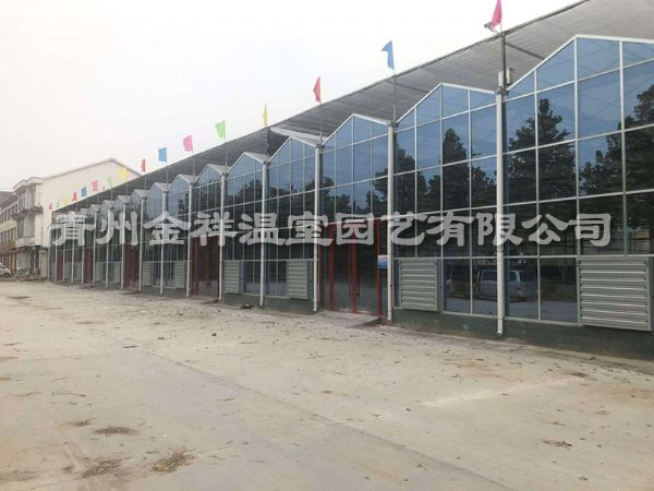 玻璃温室大棚