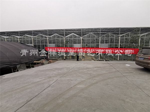 玻璃温室大棚