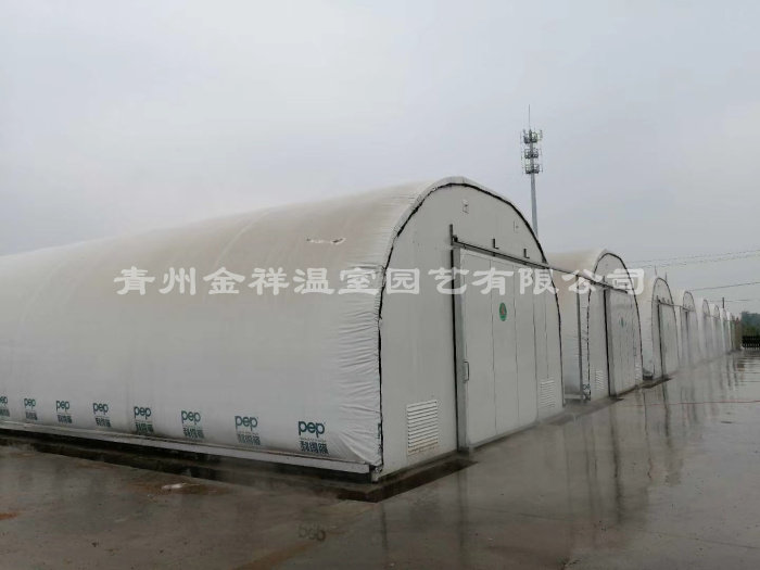mmexport1589432155464.jpg