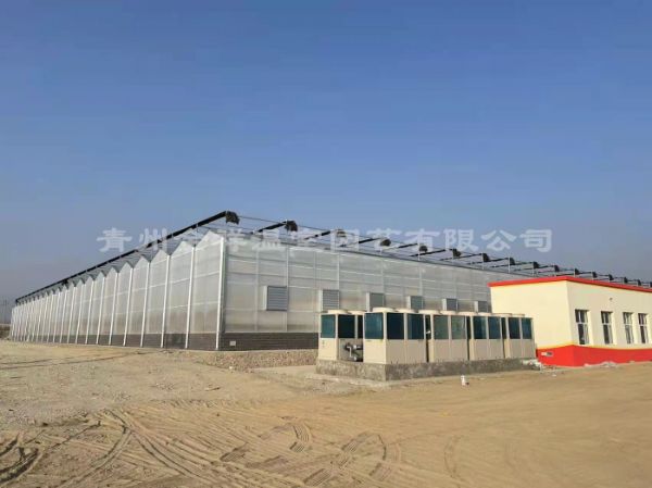 新疆阳光板文洛温室