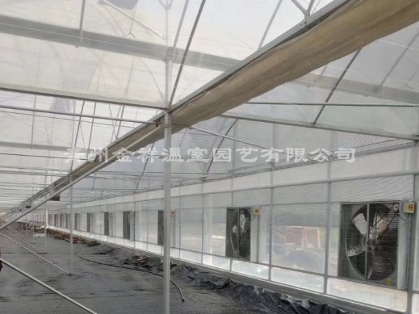 薄膜连栋温室