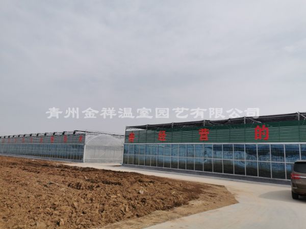 薄膜连栋温室