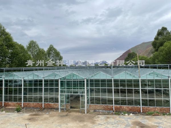 玻璃温室大棚